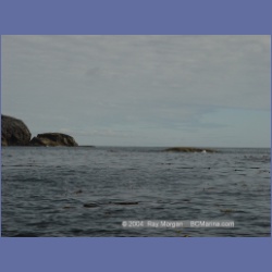 2004_6842_McInnes_Island.html