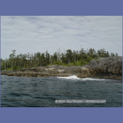 2004_6851_McInnes_Island.html
