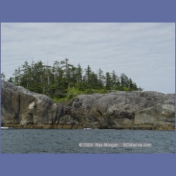 2004_6853_McInnes_Island.html