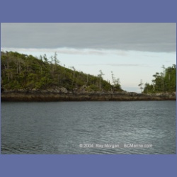 2004_6856_McInnes_Island.html
