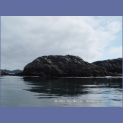 2004_6890_McInnes_Island.html