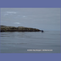 2004_6895_McInnes_Island.html
