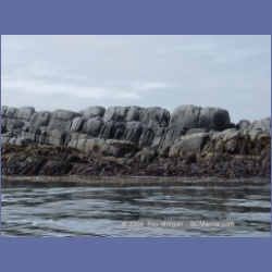 2004_6896_McInnes_Island.html