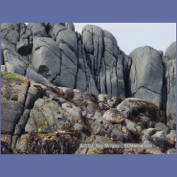 2004_6898_McInnes_Island.html