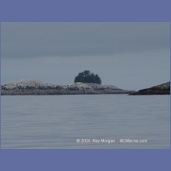 2004_6901_McInnes_Island.html