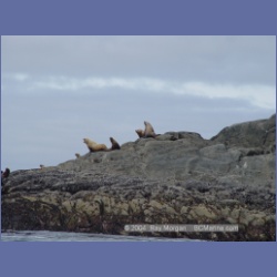 2004_6902_McInnes_Island.html