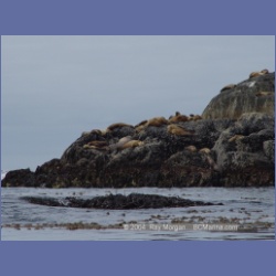 2004_6907_McInnes_Island.html