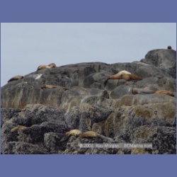 2004_6909_McInnes_Island.html