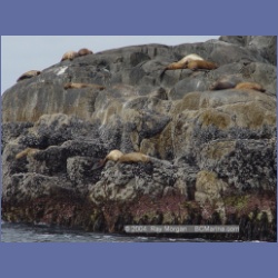 2004_6913_McInnes_Island.html