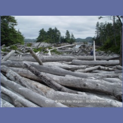 2004_6921_McInnes_Island.html