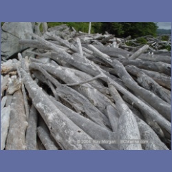 2004_6922_McInnes_Island.html