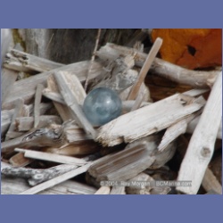 2004_6924_McInnes_Island.html