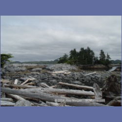 2004_6925_McInnes_Island.html