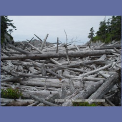 2004_6926_McInnes_Island.html