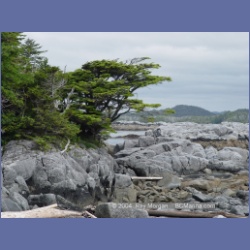 2004_6927_McInnes_Island.html