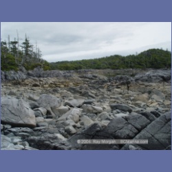 2004_6930_McInnes_Island.html