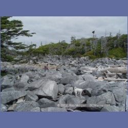 2004_6931_McInnes_Island.html