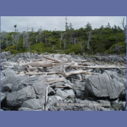 2004_6932_McInnes_Island.html