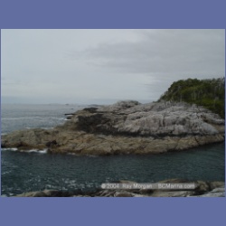 2004_6937_McInnes_Island.html