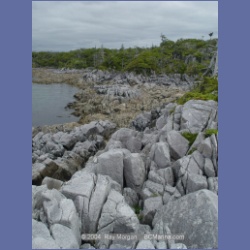 2004_6938_McInnes_Island.html