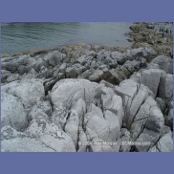 2004_6939_McInnes_Island.html