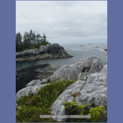 2004_6944_McInnes_Island.html