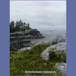 2004_6945_McInnes_Island.html