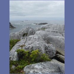 2004_6946_McInnes_Island.html