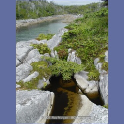 2004_6947_McInnes_Island.html