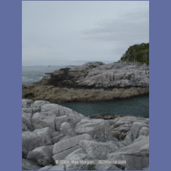 2004_6948_McInnes_Island.html