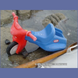 2004_6949_McInnes_Island.html