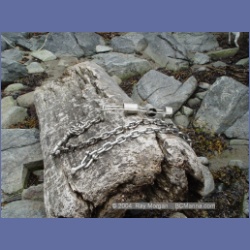 2004_6951_McInnes_Island.html