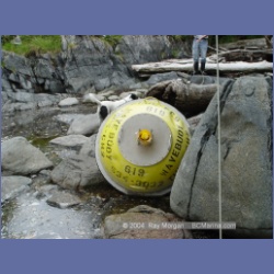2004_6952_McInnes_Island.html