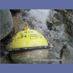 2004_6954_McInnes_Island.html