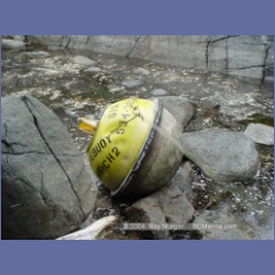 2004_6955_McInnes_Island.html