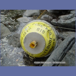 2004_6956_McInnes_Island.html