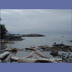 2004_6957_McInnes_Island.html