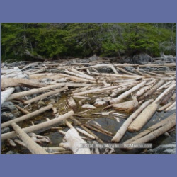 2004_6963_McInnes_Island.html
