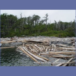 2004_6964_McInnes_Island.html