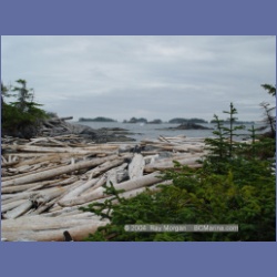 2004_6967_McInnes_Island.html