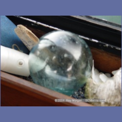 2004_6971_McInnes_Island.html