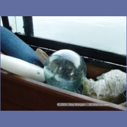 2004_6972_McInnes_Island.html