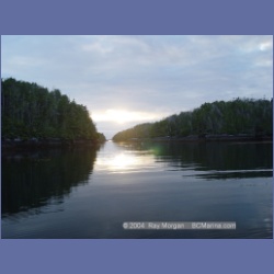 2004_6978_McInnes_Island.html
