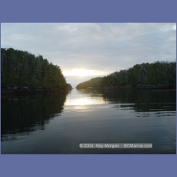 2004_6979_McInnes_Island.html