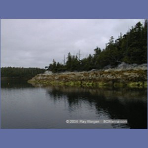 1998_176_McMicking_Inlet.jpg