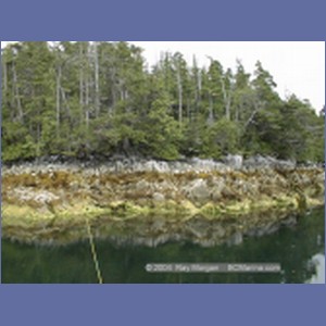 1998_179_McMicking_Inlet.jpg