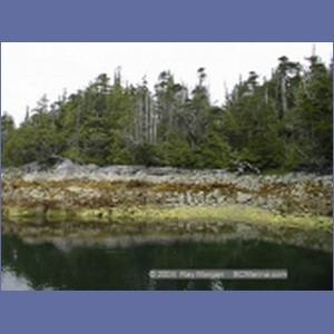 1998_180_McMicking_Inlet.jpg