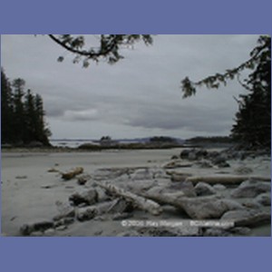 1998_185_McMicking_Inlet.jpg