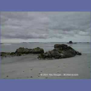 1998_194_McMicking_Inlet.jpg