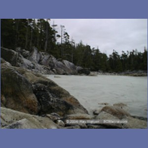 1998_195_McMicking_Inlet.jpg